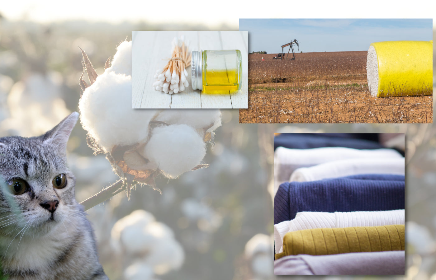 Facts about Organic Cotton, Organic Cotton Advantages