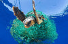 Ocean Plastic Cleanup: A Positive Article About Plastic!