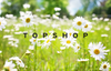 Is Topshop sustainable and eco friendly?