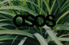 Is ASOS ethical and sustainable? A complete review of ASOS